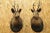 Vintage Taxidermy Deer Shoulder Mount Wall Decor With Metal Leaves (R&l) - a Pair For Sale - Image 12 of 12