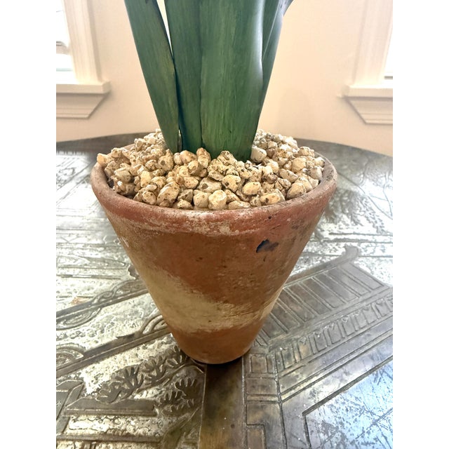 Tommy Mitchell Tole Potted Hyacinth For Sale - Image 4 of 11