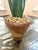 Tommy Mitchell Tole Potted Hyacinth For Sale - Image 4 of 11