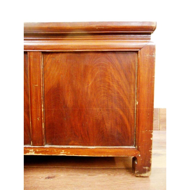 Antique Chinese Treasure Trunk (5552), Zelkova Wood, Circa 1800-1849 For Sale - Image 12 of 12