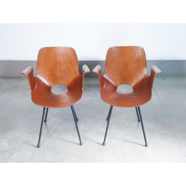 Pair of medea chairs, variant with armrests, designed by vittorio nobili for fr. Tagliabue. Italy, 1950s origin italy...
