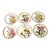 Antique George Jones Crescent Hand Painted Fine China Lunch Salad Dessert Plates Set of 6 For Sale
