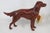 This vintage Goebel Irish Setter CH622 figurine is made of fine porcelain. This gorgeous figurine was carefully hand-...