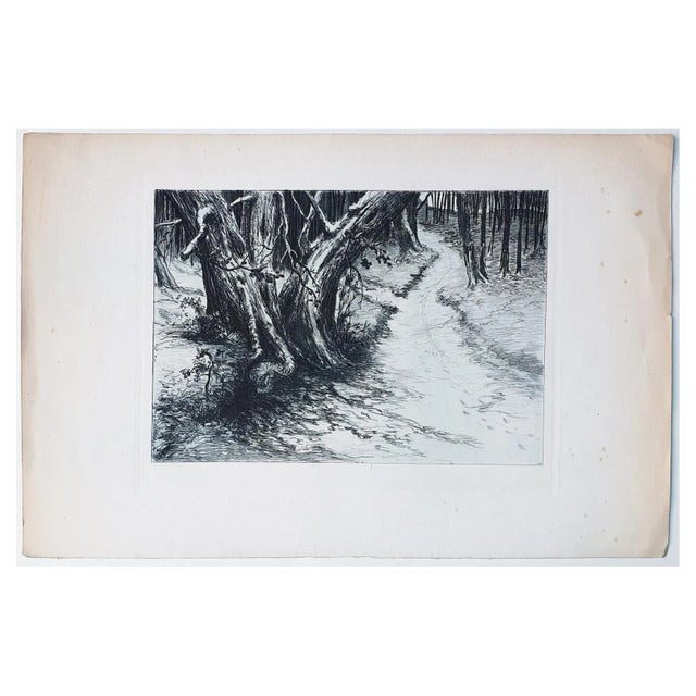 Unknown, Landscape, Etching on Paper, 20th Century For Sale