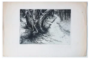 Unknown, Landscape, Etching on Paper, 20th Century