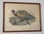 Includes "Phasianus Colchicus" and "Phasianus Torquatus" in matching wooden frames; both marked to bottom left corner "J....