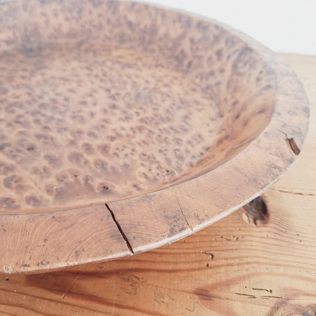 Large North African Wooden Thuya Burl Dough Bowl, 1970s For Sale - Image 15 of 18