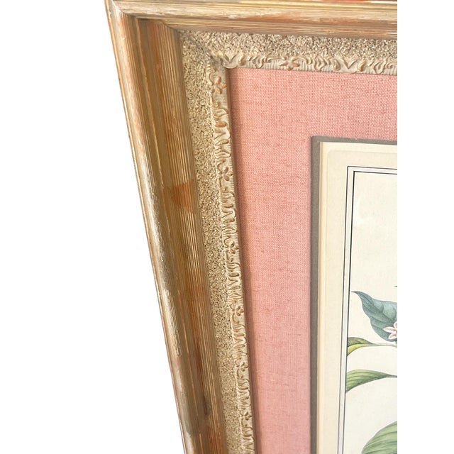 Pair Vintage Custom Framed Botanical Giclee Prints With Double Linen Matte For Sale - Image 18 of 18