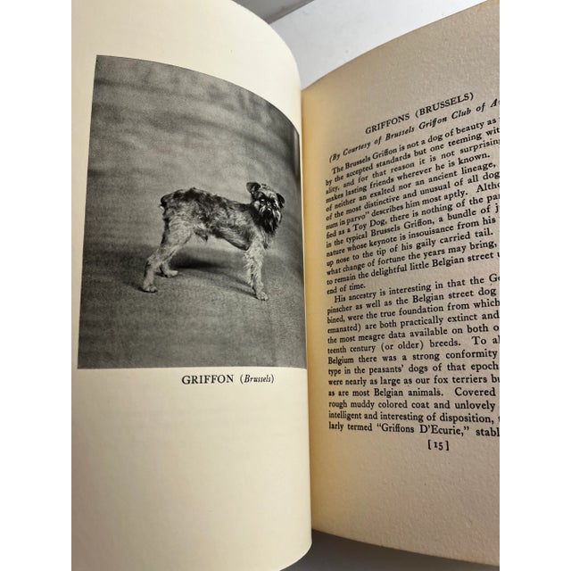 1935 Toy Dogs American Kennel Club Book For Sale In New York - Image 6 of 9