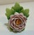 English Vintage German Porcelain Flower Place Card Holders - Set of 9 For Sale - Image 3 of 11