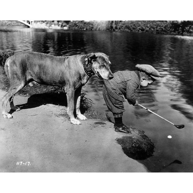 Helpful Dog Teddy the Dog holds onto child actor Jackie Lucas (1919 - 1983) by the tail of his golfing jacket as he tries...