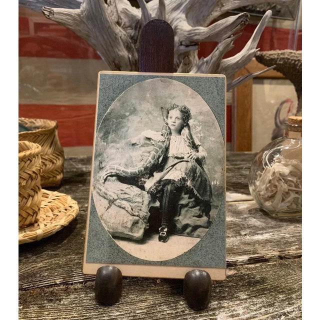 Victorian Antique Victorian Cabinet Card, Paired With Contemporary Fashion Photo of Snake For Sale - Image 3 of 8