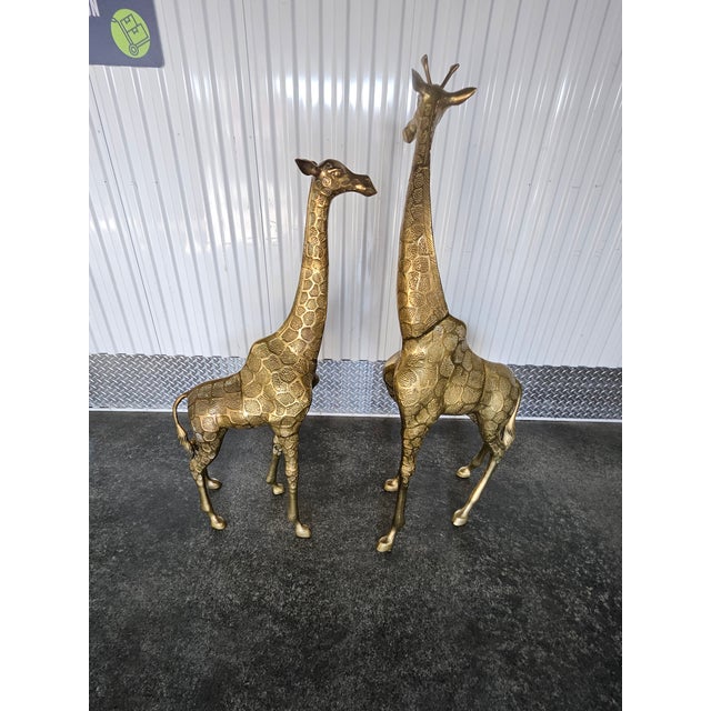 1970's Life Size Brass Baby Giraffes - a Pair For Sale - Image 4 of 12