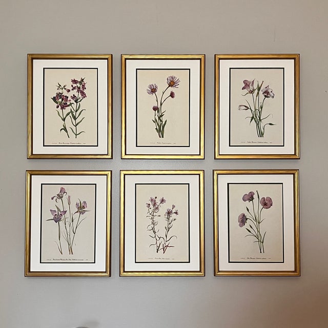 Mid-Century Modern Vintage Botanical Set of 6 -Framed- Authentic Vintage 1953 Prints For Sale - Image 3 of 6