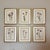 Mid-Century Modern Vintage Botanical Set of 6 -Framed- Authentic Vintage 1953 Prints For Sale - Image 3 of 6
