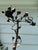 1940s Hand Forged Wrought Iron Rose Floor Candle Holder Sculpture Roots Blacksmith For Sale - Image 9 of 13