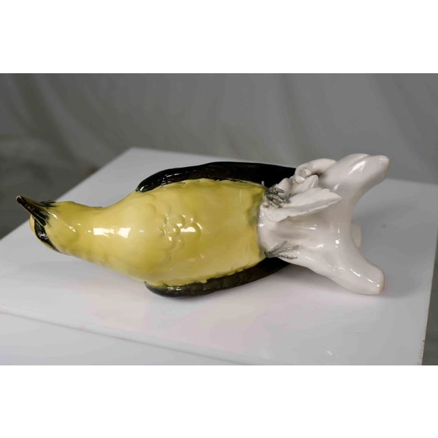 Early 20th Century Porcelain Indian Golden Oriole by Karl Ens Volkstedt Germany For Sale - Image 12 of 12