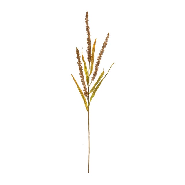Bring nature-inspired elegance to your holiday displays with the Seeded Plume Spray Set. This collection of beautifully...