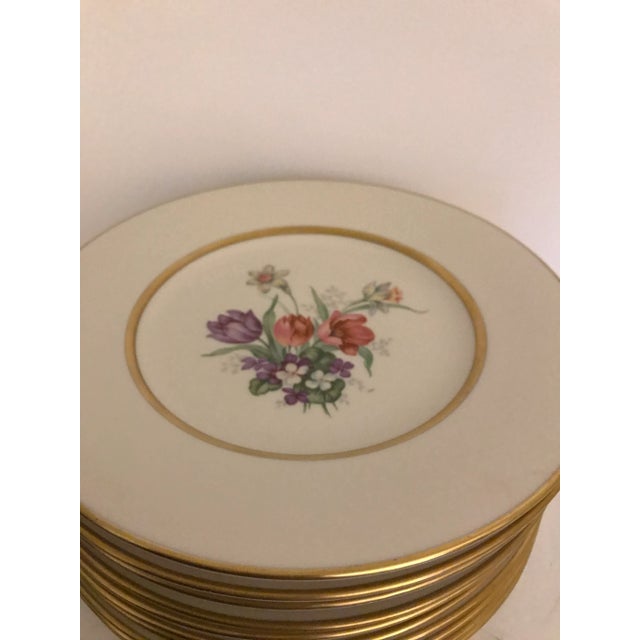 Vintage Botanical Accent Luncheon Plates Tatter of Trenton - Set of 12 For Sale - Image 4 of 7