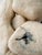 Cream Anatomy of Flight Sculpture in Felted Wool and Metal by Tina Tictone For Sale - Image 8 of 9