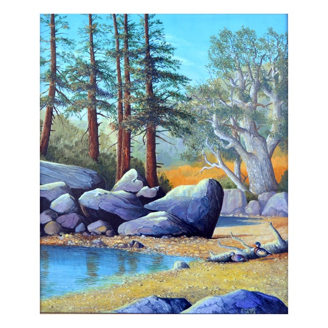 Stunning California landscape of a small reflective pond with tall trees, big boulders, and ducks rendered in crisp detail...