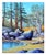 Stunning California landscape of a small reflective pond with tall trees, big boulders, and ducks rendered in crisp detail...