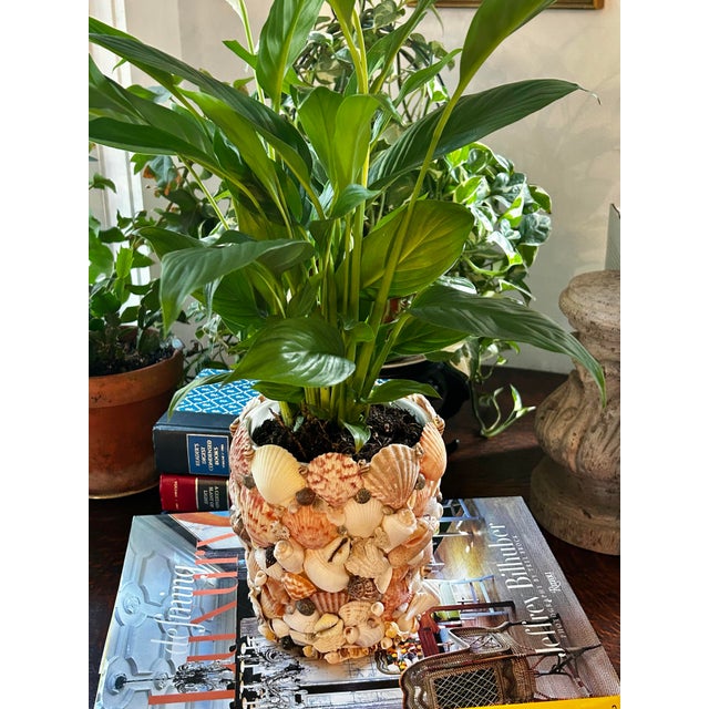Ceramic Contemporary Coastal Grotto Shell Encrusted Planter or Cache Pot For Sale - Image 7 of 11