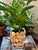 Ceramic Contemporary Coastal Grotto Shell Encrusted Planter or Cache Pot For Sale - Image 7 of 11