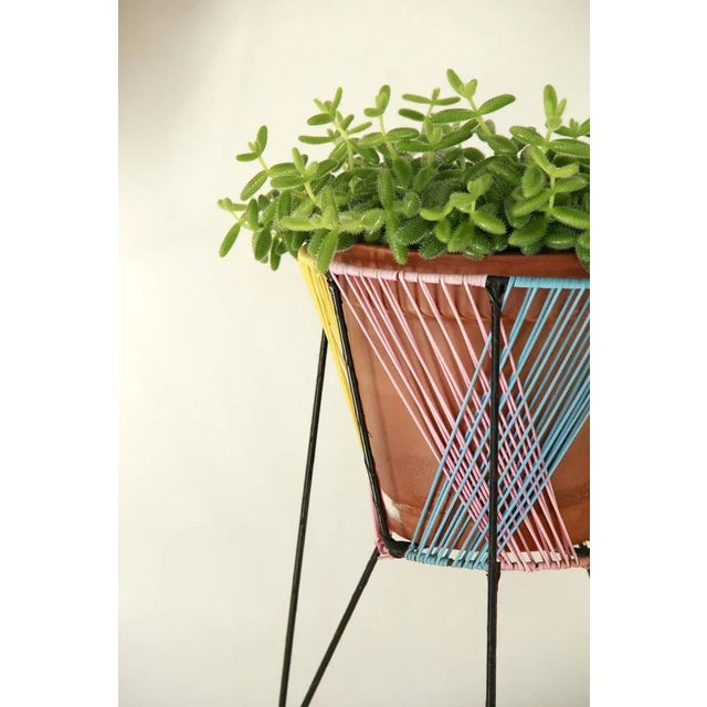 Mid-Century Scooby-Doos Plant Stands, Italy, 1960s, Set of 2 For Sale - Image 4 of 11