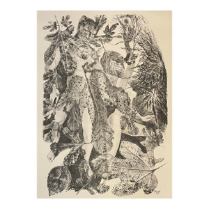 1960s Adam and Eve Lithograph