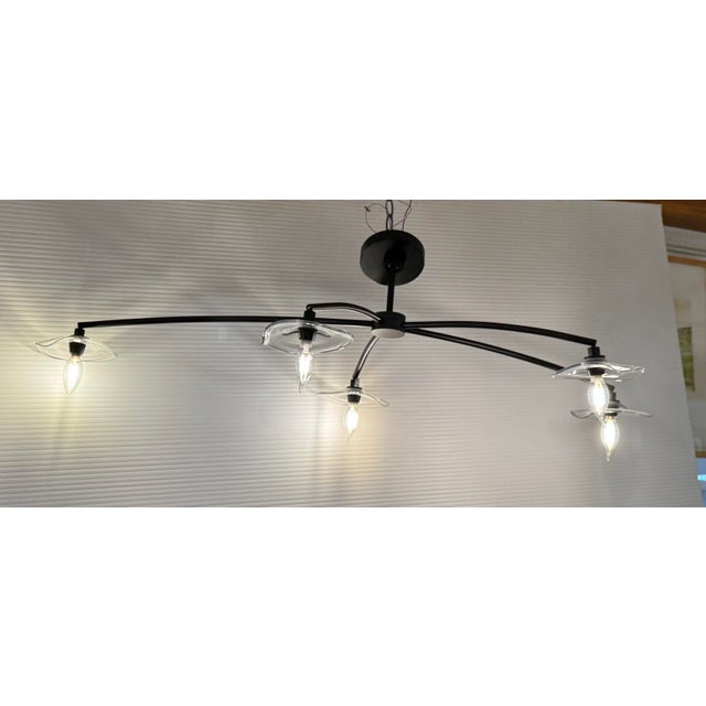 Restoration Hardware Lily Smoke Glass Chandelier For Sale - Image 10 of 12