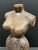 Late 20th Century Carved Wood Female Torso Sculpture For Sale In New York - Image 6 of 10