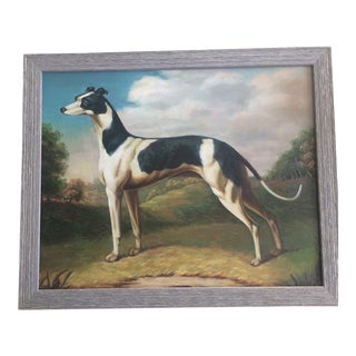 Greyhound Dog Painting For Sale