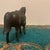 Metal Mid-Century Western Cast Metal Saddled Carnival Horse Figurine For Sale - Image 7 of 10