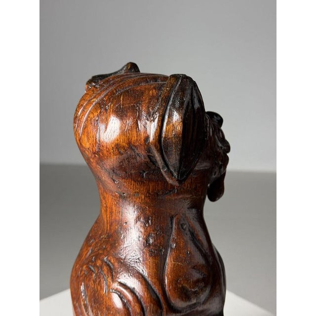 Hand-Carved Statue of Dog Saint Rocco, 18th Century For Sale - Image 10 of 18