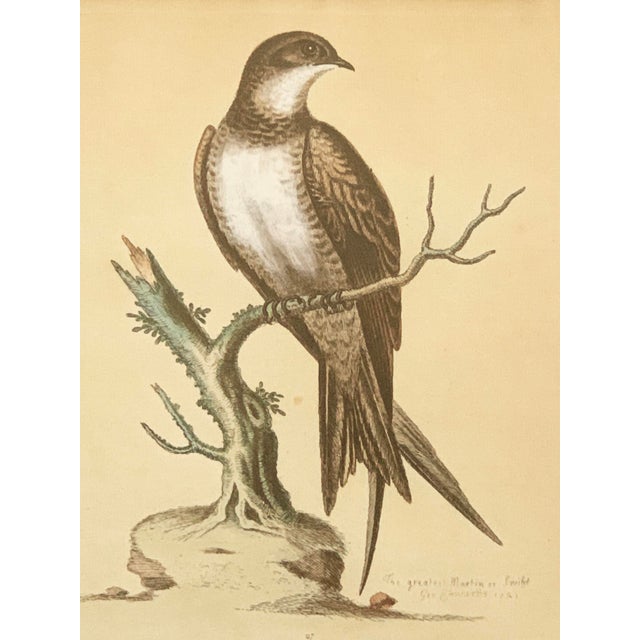 Antiquely Hand Colored Copper Plate Engraved Art by Edwards "A