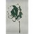 Contemporary Set of 4 - One-of-a-Kind Dark Green Botanical Organic Modern Original Oil Paintings / Herbarium / Floral For Sale - Image 3 of 7