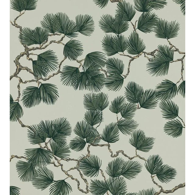 Contemporary Sample - Sandberg for The House of Scalamandré Pine Wallcovering, Green For Sale - Image 3 of 3