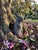 Vintage-Style Cast Garden Rabbit Statue For Sale - Image 10 of 10