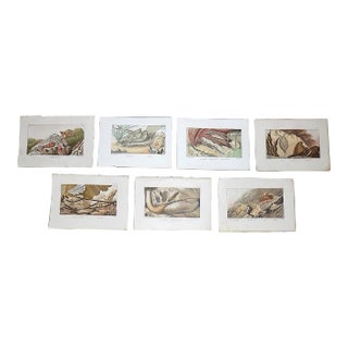 Antique 19th Century Sea Creature Lithographs--Set of 7 For Sale