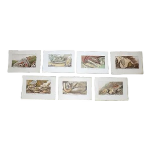 Antique 19th Century Sea Creature Lithographs--Set of 7