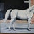 1961 Oil Painting on Board of Arabian Gray Stallion Horse Ibn Julep Framed Signed and Dated For Sale - Image 13 of 13