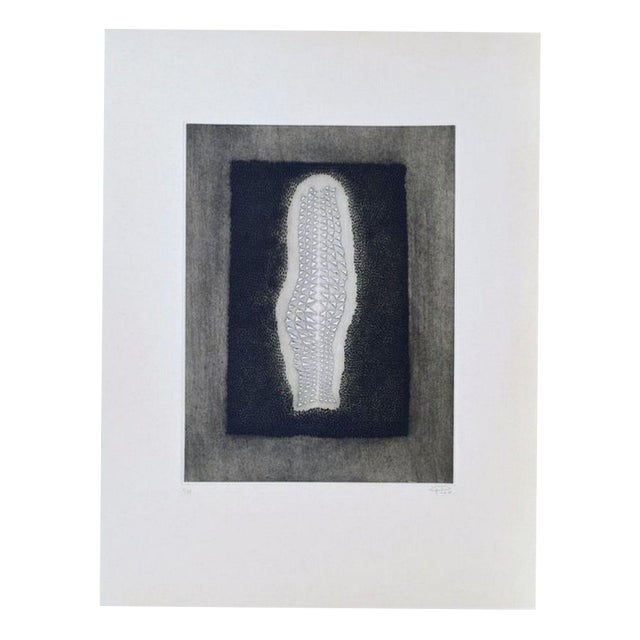 Arthur Luiz Piza, Untitled, 20th Century, Engraving For Sale