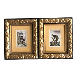 18th Century French De Buffon Engravings of Monkeys, Framed - Set of 2