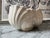 Late 20th Century Vintage Hand Cast Scallop Shell Cachepot For Sale - Image 5 of 9