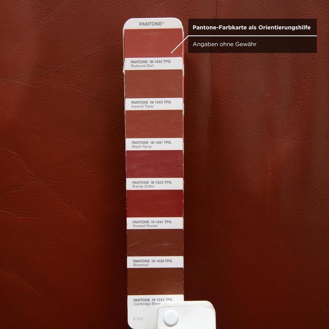 Animal Skin Ego 2-Seater Sofa in Brown Leather from Rolf Benz For Sale - Image 7 of 12