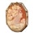 Victorian Shell Cameo Brooch Pendant, Hand-Carved, Gold Setting For Sale