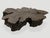 Andrianna Shamaris Amorphous Charred Coffee Table For Sale - Image 4 of 6