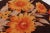 1960s Vintage Turkish Square Rug With Saffron and Brown Floral Elegance - Rug & Kilim For Sale - Image 5 of 8