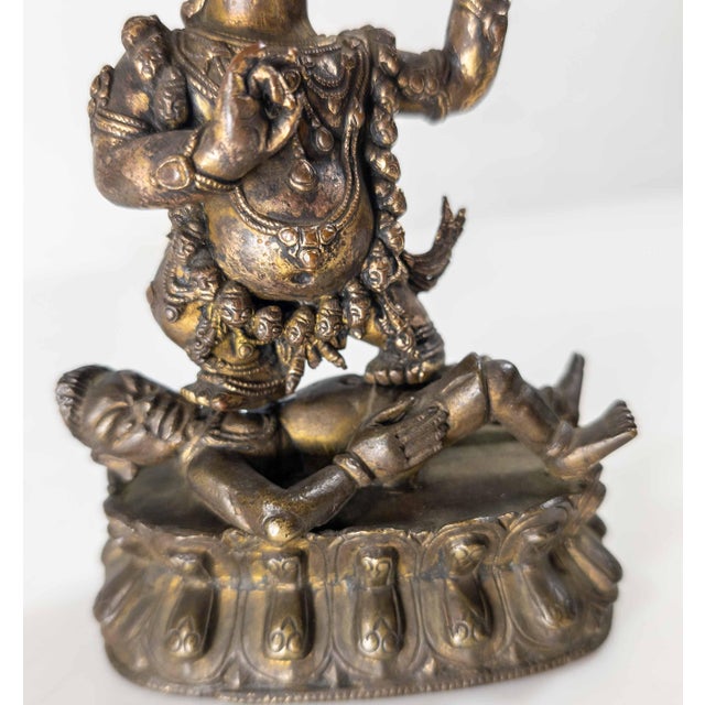 17th or 18th Century Chinese Sino-Tibetan Gilt Bronze Buddhist Makala Faced Deity Figure For Sale - Image 14 of 18